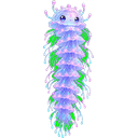 Glowjelly
