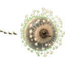 Seedrift
